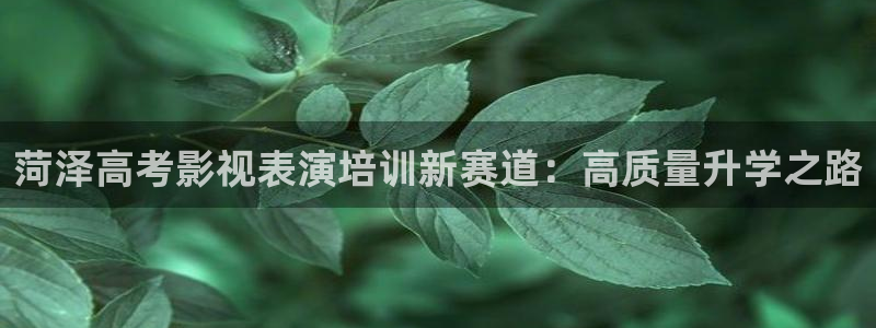 蜜桃视频安卓安装最高免费下安装
