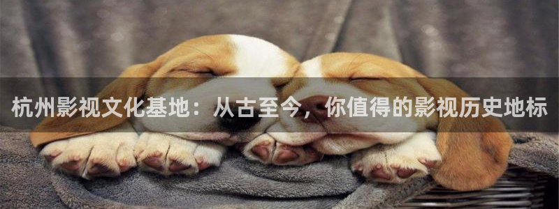 久久99蜜桃综合影院免费观看